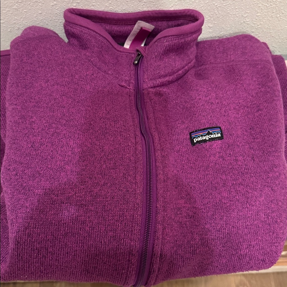 Patagonia Full Zip Fleece Jacket